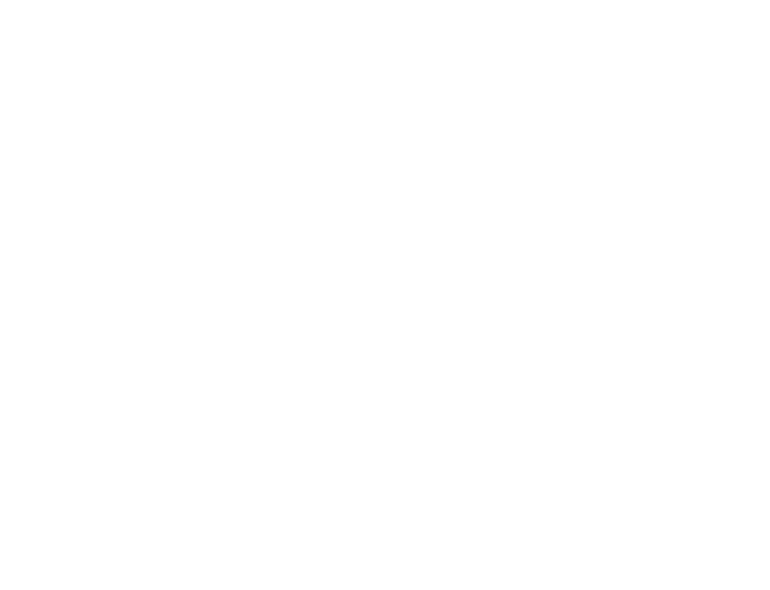 HAS Group Logo